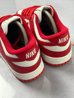 Tênis Nike Dunk Sb Low - Vermelho